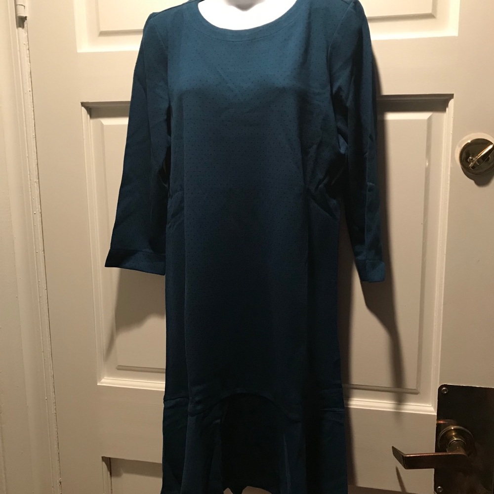 NWT $109 J Jill dress